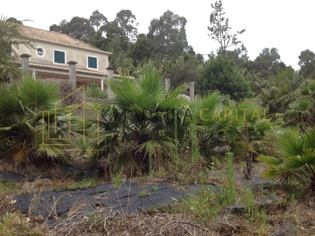 Casa venda em Santana, Ilha Da Madeira