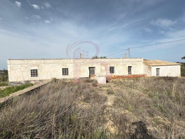 Terreno venda em Guia, Quinta dos Álamos