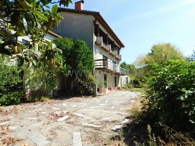 Casa venda em Mangualde, Mesquitela e Cunha Alta, Mangualde