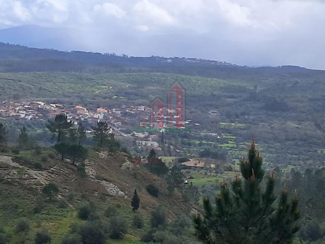 Casa venda em Condeixa-a-nova, Coimbra