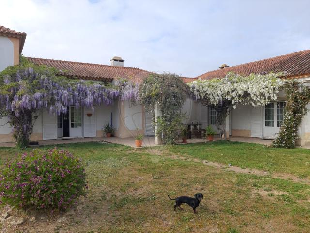 Casa venda em Louriceira de Cima, Arruda Dos Vinhos