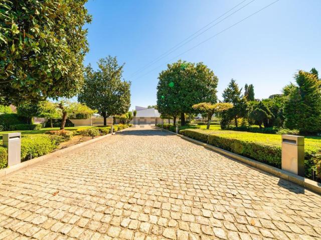 Casa venda em Tamel (São Veríssimo), Arcozelo
