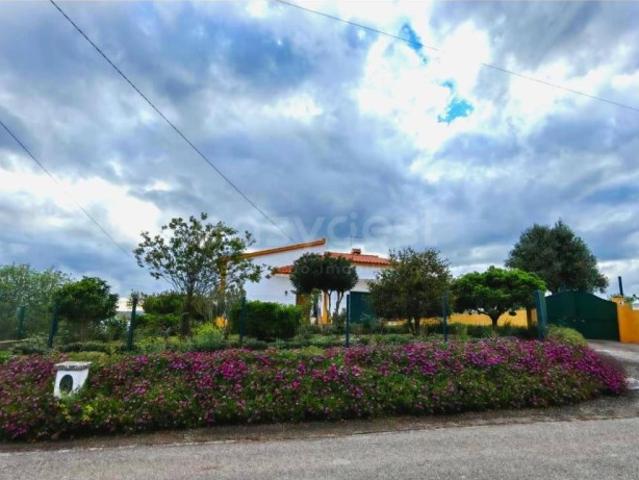 Casa venda em São Pedro De Tomar, Vermoeiros Casa venda em São Pedro De Tomar, Vermoeiros