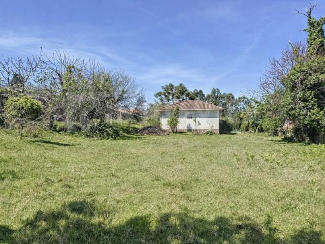 Casa venda em Caminha (Matriz) e Vilarelho, Arga De Baixo