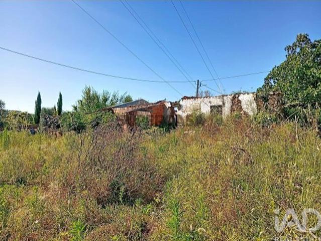 Casa venda em Rego Da Murta, Santarém