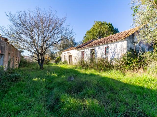 Casa venda em Alcobaça, Leiria