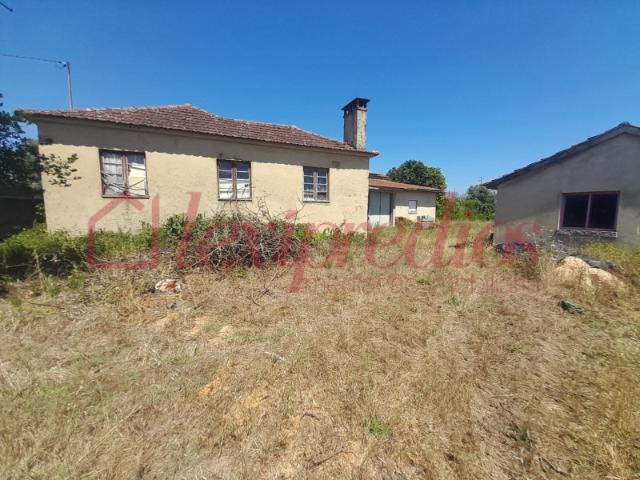 Casa venda em Cavadas de Baixo, Águeda