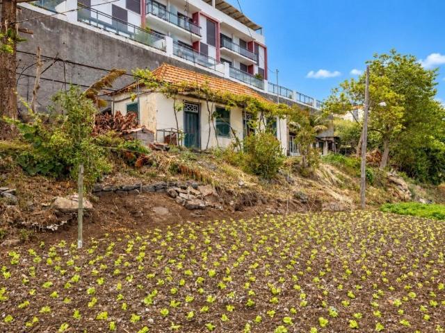 Vivenda venda em Vargem, Santa Cruz