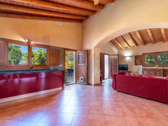 Casa venda em São Brás De Alportel, Faro