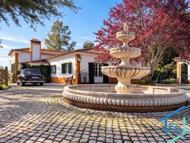 Casa venda em Alto do Piolhinho, Tomar
