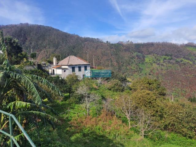 Casa venda em Igreja, Porto Moniz