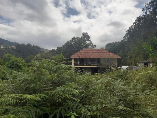 Casa venda em Arouca, Tropeço