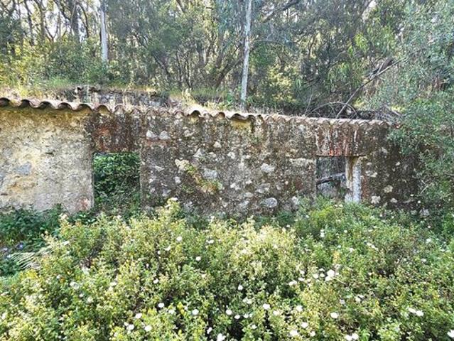 Casa venda em Monchique, Faro