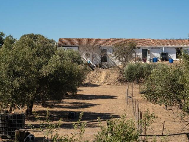 Casa venda em Beja