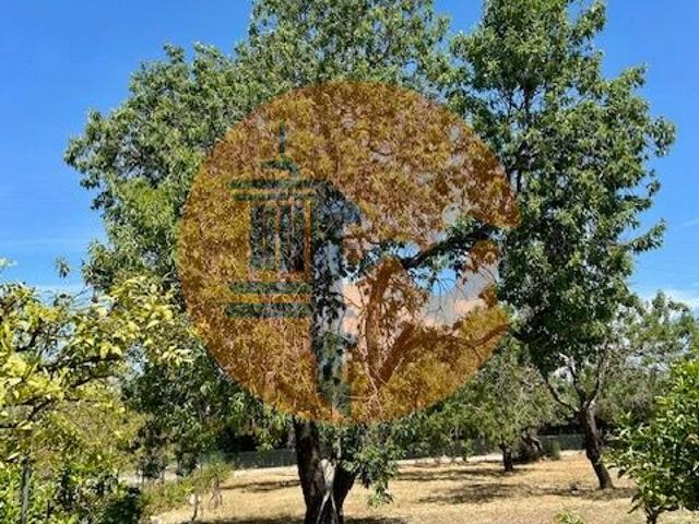 Casa alugar em Tavira, Faro