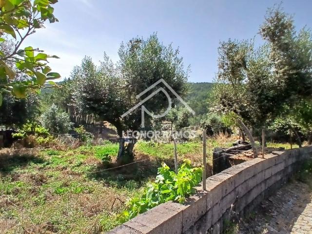 Casa venda em Castelo Branco, Proença-a-nova