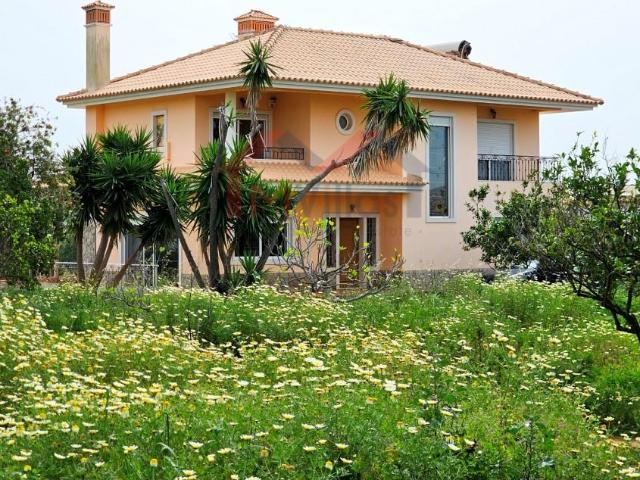 Vivenda venda em Falfosa, Faro