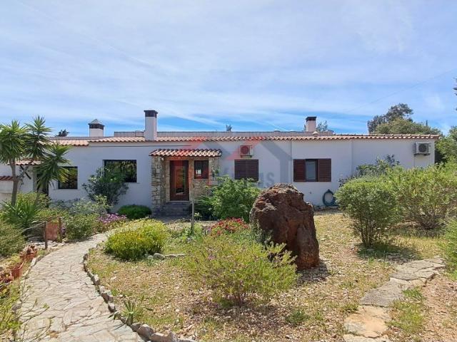 Vivenda venda em Santa Bárbara de Nexe, Faro