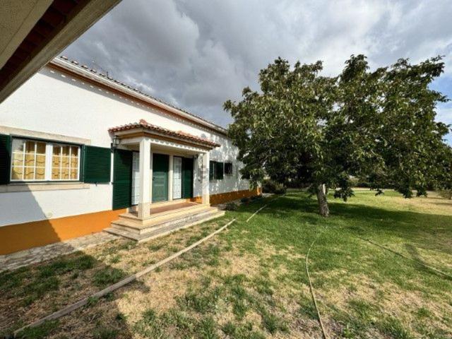Casa alugar em Cartaxo, Santarém