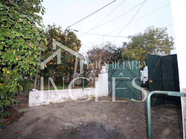 Propriedade venda em Vale De Cavalos, Casal das Oliveiras Propriedade venda em Vale De Cavalos, Casal das Oliveiras