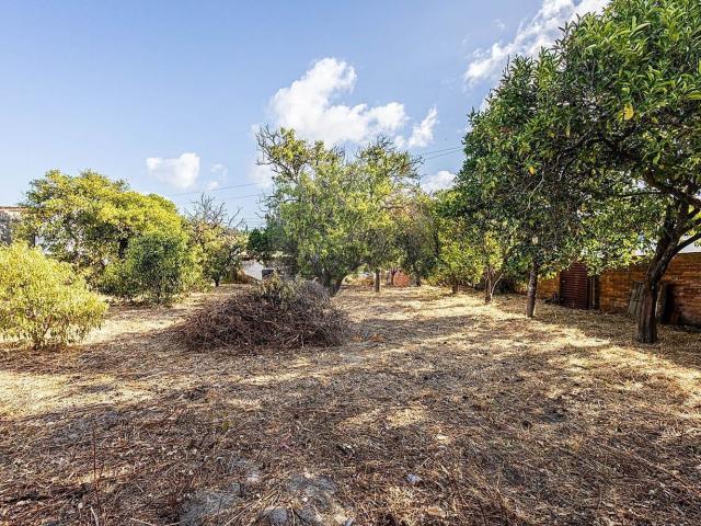 Casa venda em Santarém