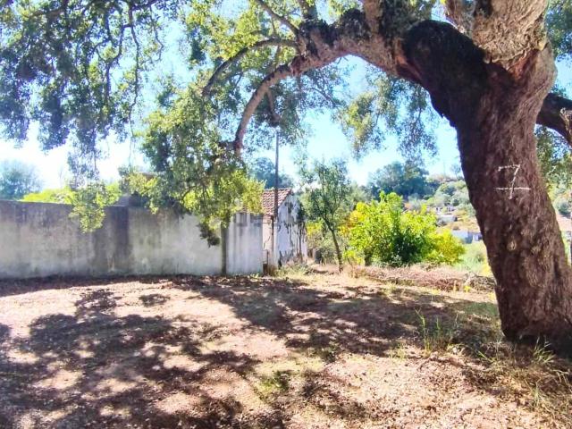 Casa venda em Santarém