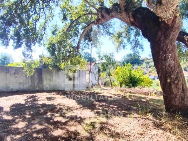 Casa venda em Santarém