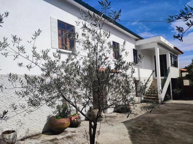 Casa venda em Vila Flor, Bragança