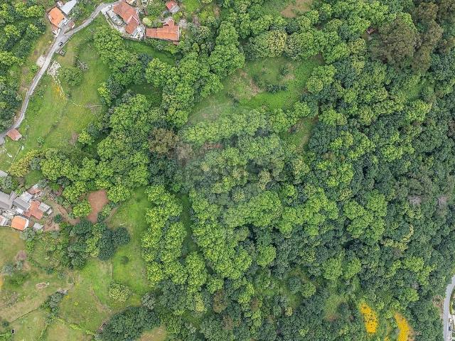 Casa venda em Revolta e Quintã, Parada Do Bouro