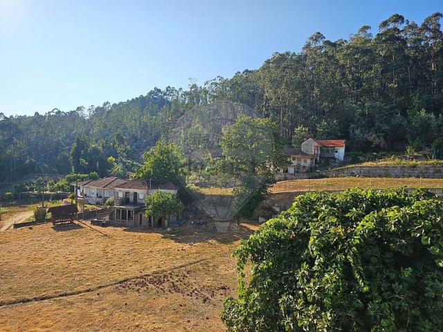 Casa venda em Vilela, Bitarães