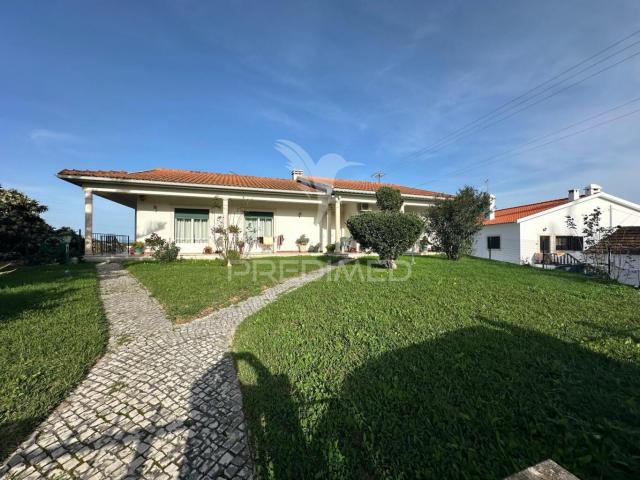 Quinta venda em Santarém