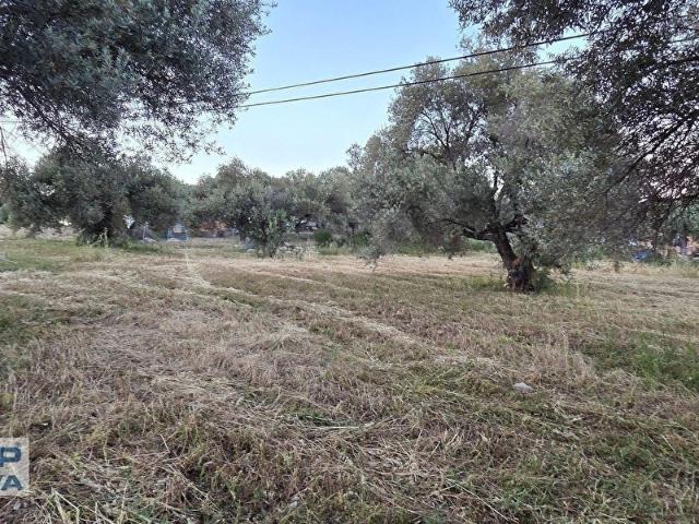 Karaburun, İzmir içerisinde satılık Arsa