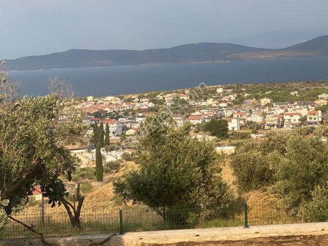Karaburun, İzmir içerisinde kiralık Villa