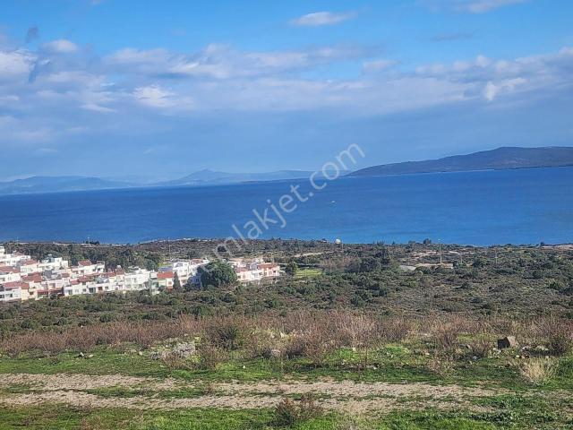 Karaburun, İzmir içerisinde kiralık Villa