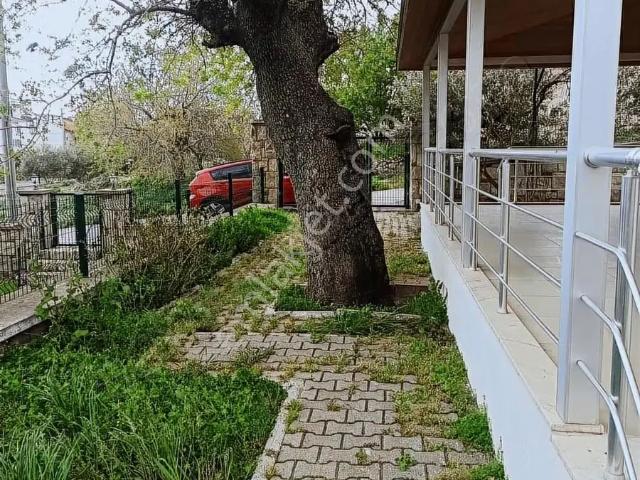 Karaburun, İzmir içerisinde kiralık Villa