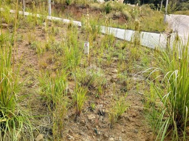 Terreno venda em Região Geográfica Imediata de Bento Gonçalves, Bento Gonçalves