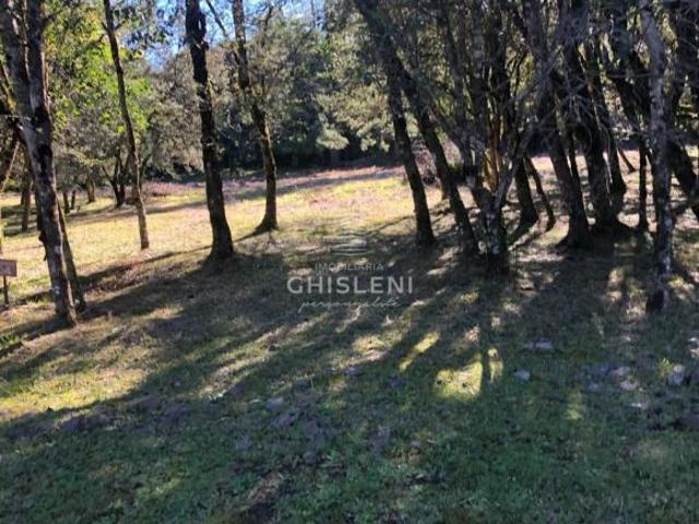Terreno venda em Região Geográfica Imediata de Caxias do Sul, Canela
