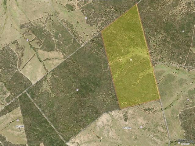 Cottage for sale in Fifield, New South Wales