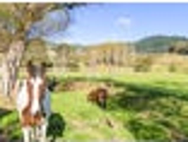 House for sale in Wellington