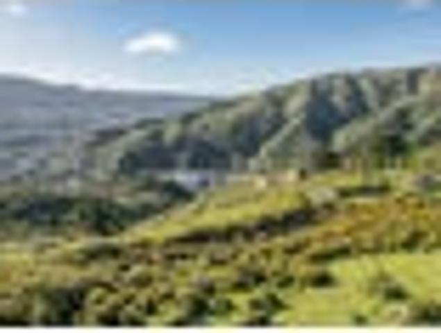 Land for sale in Linden, Wellington
