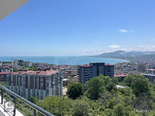 Gölevi, Ünye içerisinde satılık mülk