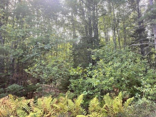 Land for sale in Surry, Hancock County