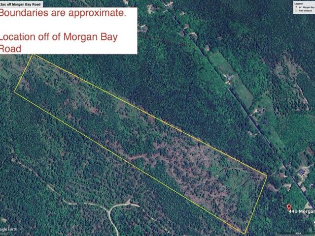 Land for sale in Surry, Maine