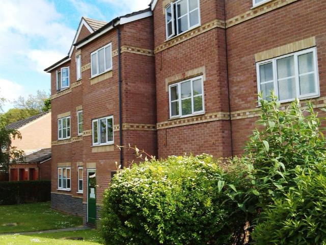 Apartment for rent in Hammond Street