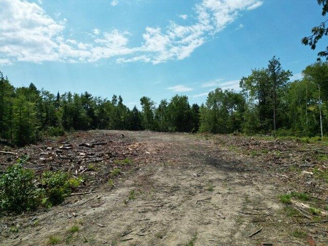 Land for sale in Waldo, Maine