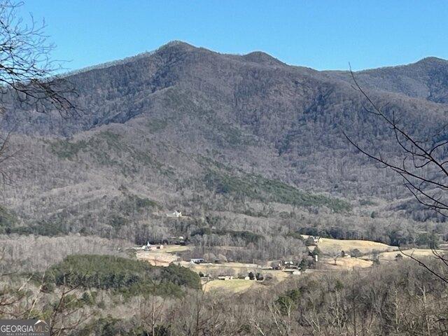 Land for sale in Young Harris