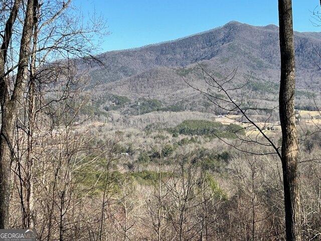 Land for sale in Young Harris