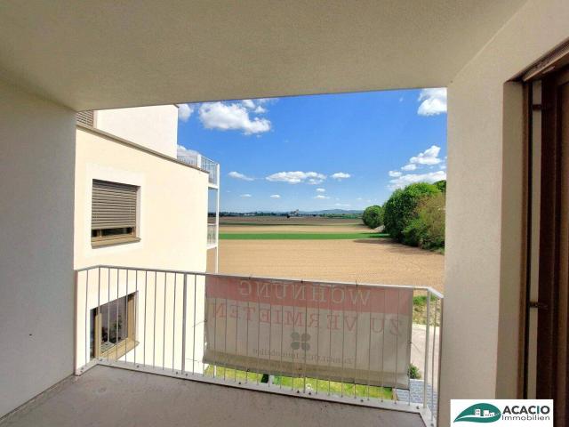 Apartment mieten in Judenau-Baumgarten, Niederösterreich