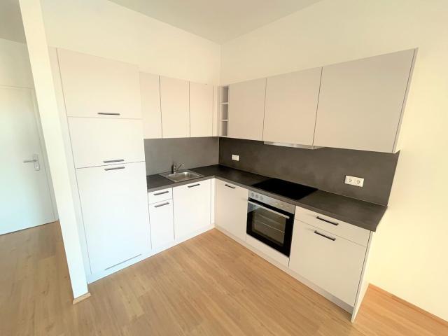 Apartment mieten in Katastralgemeinde Baierdorf, Graz
