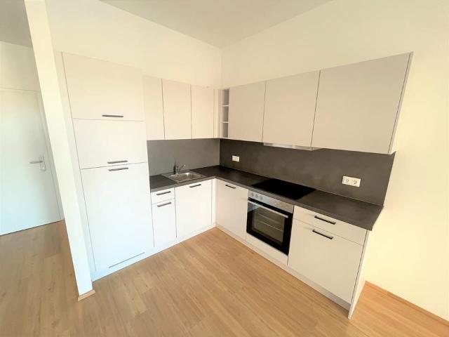 Wohnung mieten in Katastralgemeinde Graz Stadt-Weinitzen, Graz